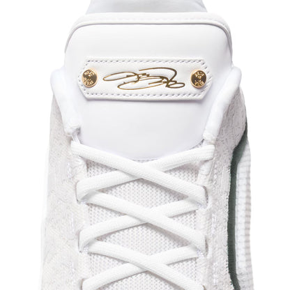 Nike Lebron XXIII 'From This Point Forward'