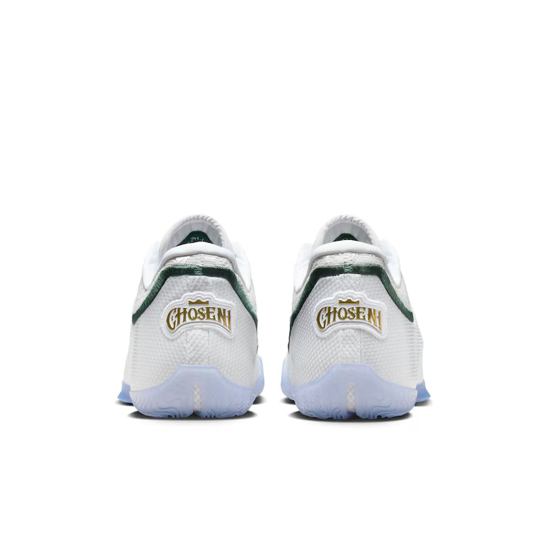 Nike Lebron XXIII 'From This Point Forward'