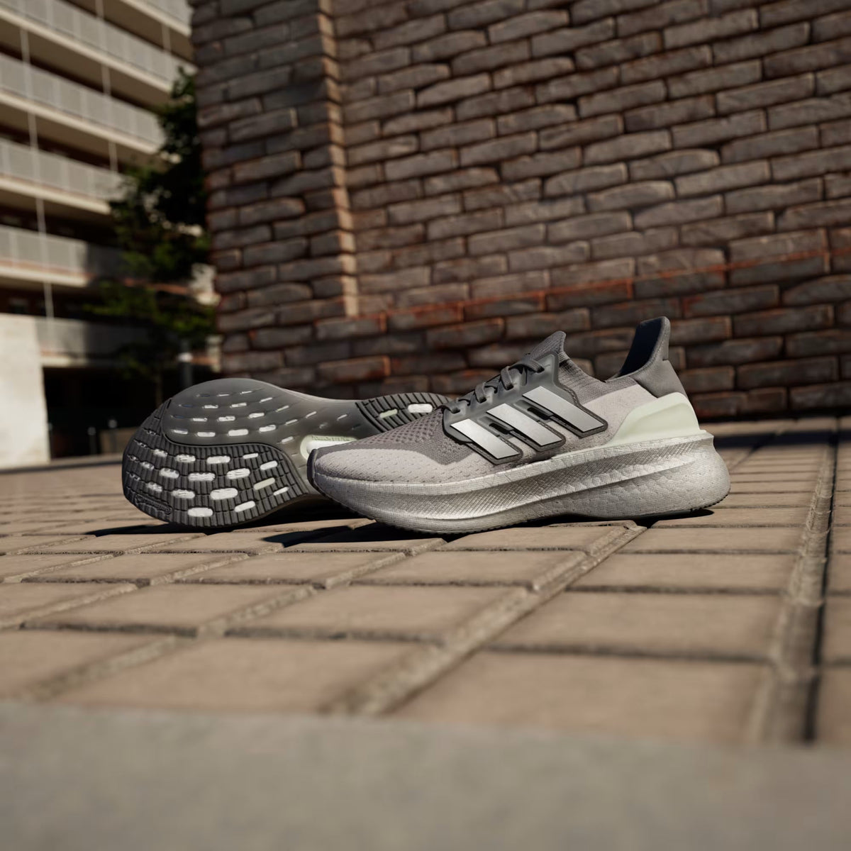 Adidas Ultraboost 5 'Cinza'