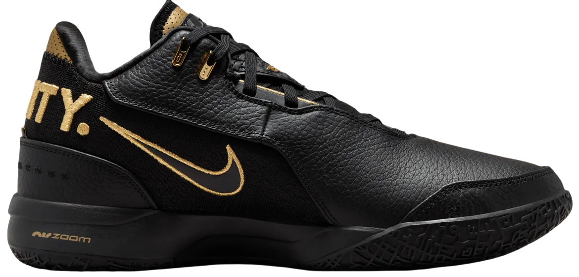 Nike Zoom LeBron NXXT Gen 'Black and White'