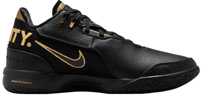 Nike Zoom LeBron NXXT Gen 'Black and White'
